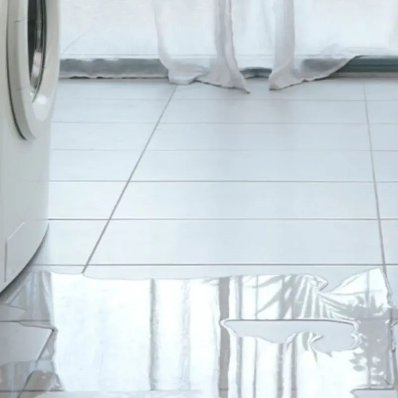 Appliance Leak Cleanup in Metairie Terrace, LA