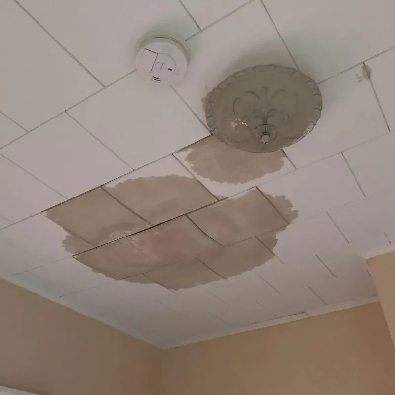 Ceiling Water Damage Repair in Metairie Terrace, LA